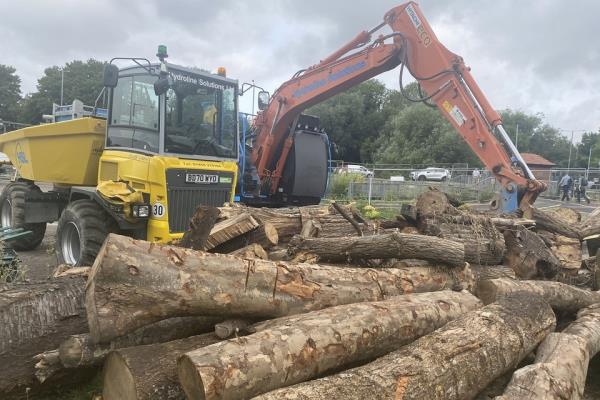 A digger next to chopped tree trunks