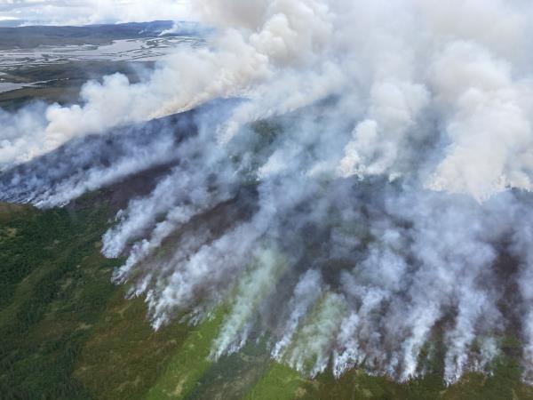 阿拉斯加大火:数千次闪电袭击和气候变暖使阿拉斯加即将迎来另一个历史性的火灾季节