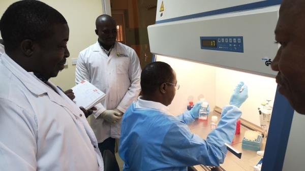 英国科学家称，到2030年，新型疟疾疫苗可将死亡率降低70%