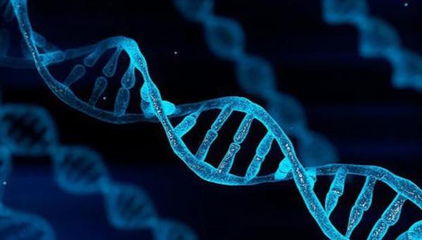 海得拉巴:CCMB科学家发现8个在男性生育能力中起关键作用的新基因
