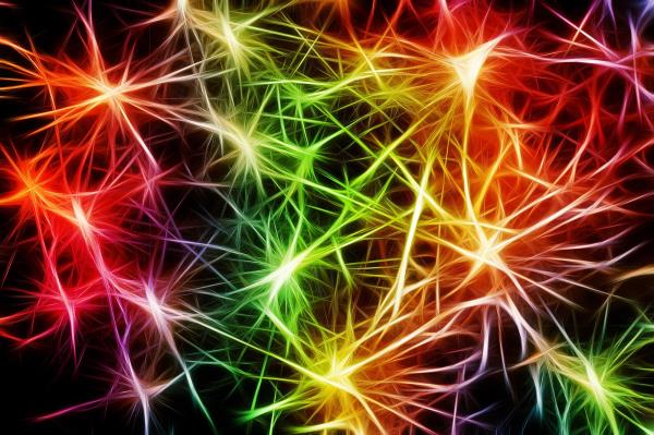 解决多巴胺之谜:科学家精确定位大脑化学物质与精神分裂症的遗传机制