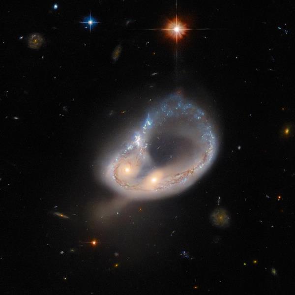 哈勃捕捉一个不寻常的星系-被重力扭曲成一个巨大的环