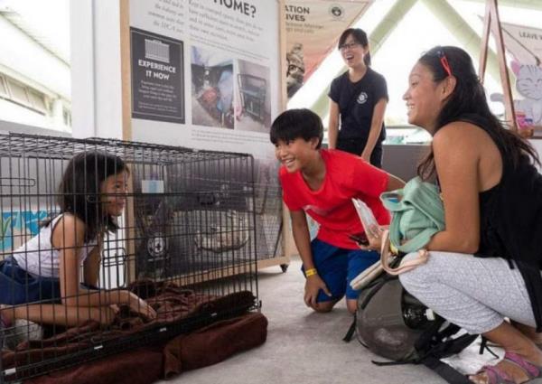 戴上电击项圈，挤进笼子:爱护动物协会使用体验式的工具来教育年轻人虐待动物